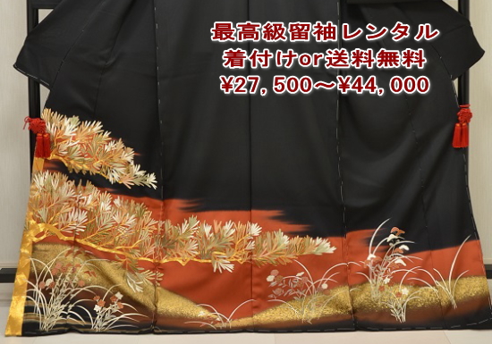 正絹最高級、黒留袖＆色留袖＆絽留袖（夏用）|キモノレンタル|大阪、日産呉服・都島店
