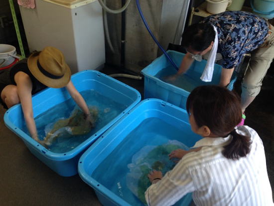 乾燥。蒸し。洗いと作業が続きます。