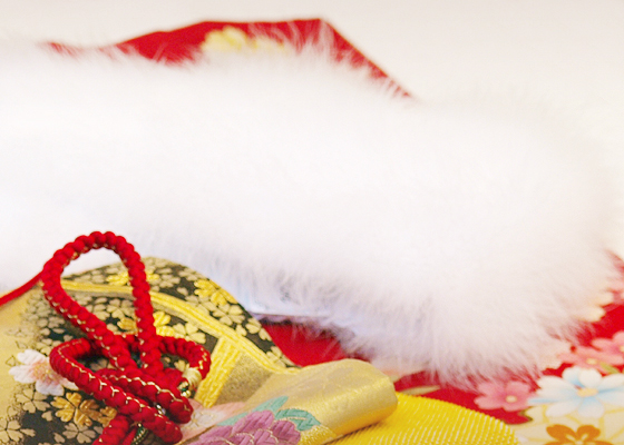 ショール【日産呉服・きもの倶楽部】