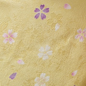 先生用、正絹訪問着＋袴レンタル|houmonngi-hakama-003|大阪。地下鉄都島駅徒歩1分