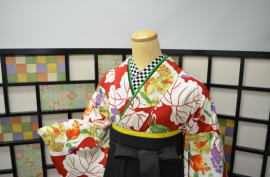 染匠、岡重謹製・レトロ袴キモノ【hro-1003】|レンタルキモノ|大阪、日産呉服・和田甚