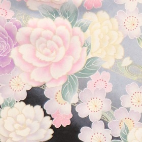 白＆黒地、紫花柄小袖：H-009＋袴レンタル|大阪。地下鉄都島駅徒歩1分