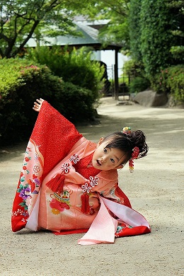 フォトスタジオ：WadajiN:753レンタル|大阪、日産呉服・都島店