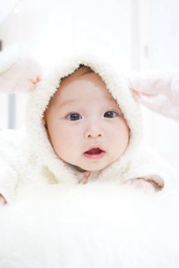 フォトスタジオ（写真スタジオ）：WadajiNのベビーフォト|大阪・日産呉服・和田甚